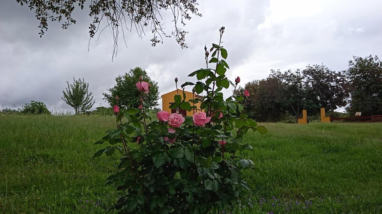 Casa Rural Camino Del Alentejo Villa La Codosera Exterior foto