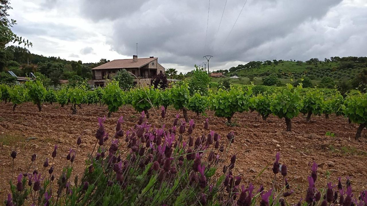 Casa Rural Camino Del Alentejo Villa La Codosera Exterior foto