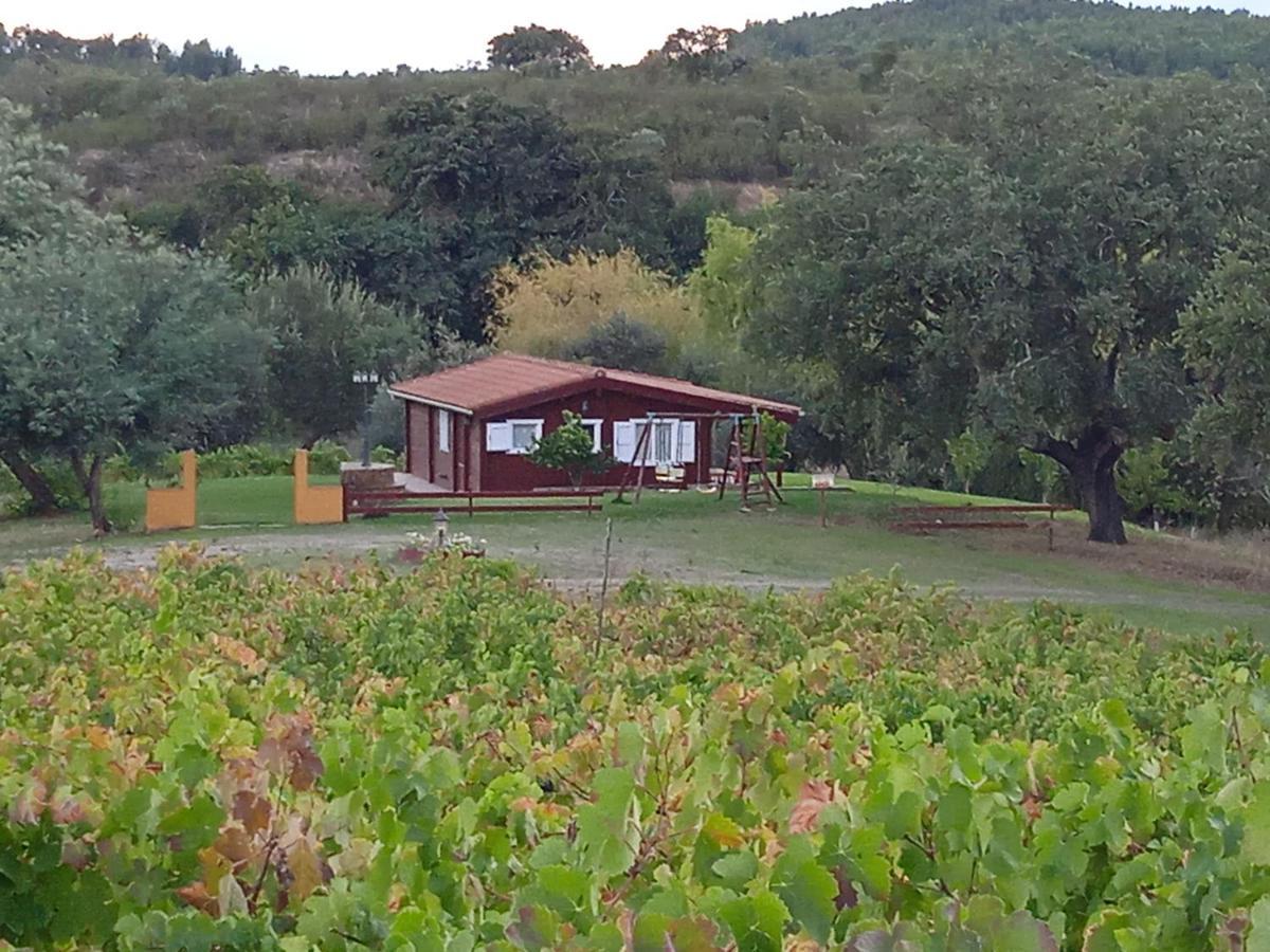 Casa Rural Camino Del Alentejo Villa La Codosera Exterior foto