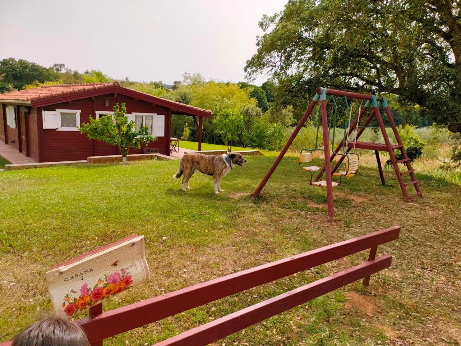 Casa Rural Camino Del Alentejo Villa La Codosera Cameră foto