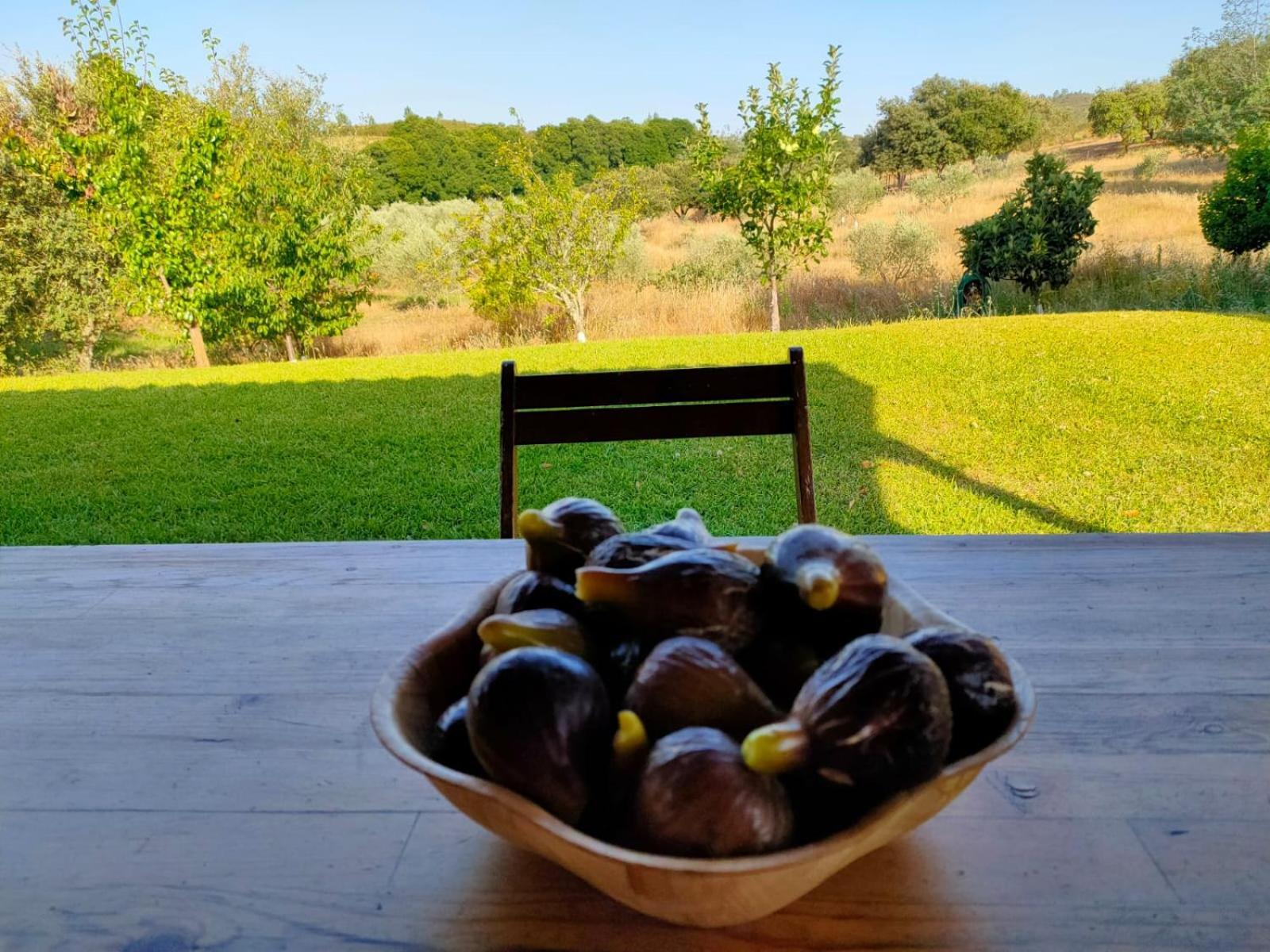 Casa Rural Camino Del Alentejo Villa La Codosera Cameră foto