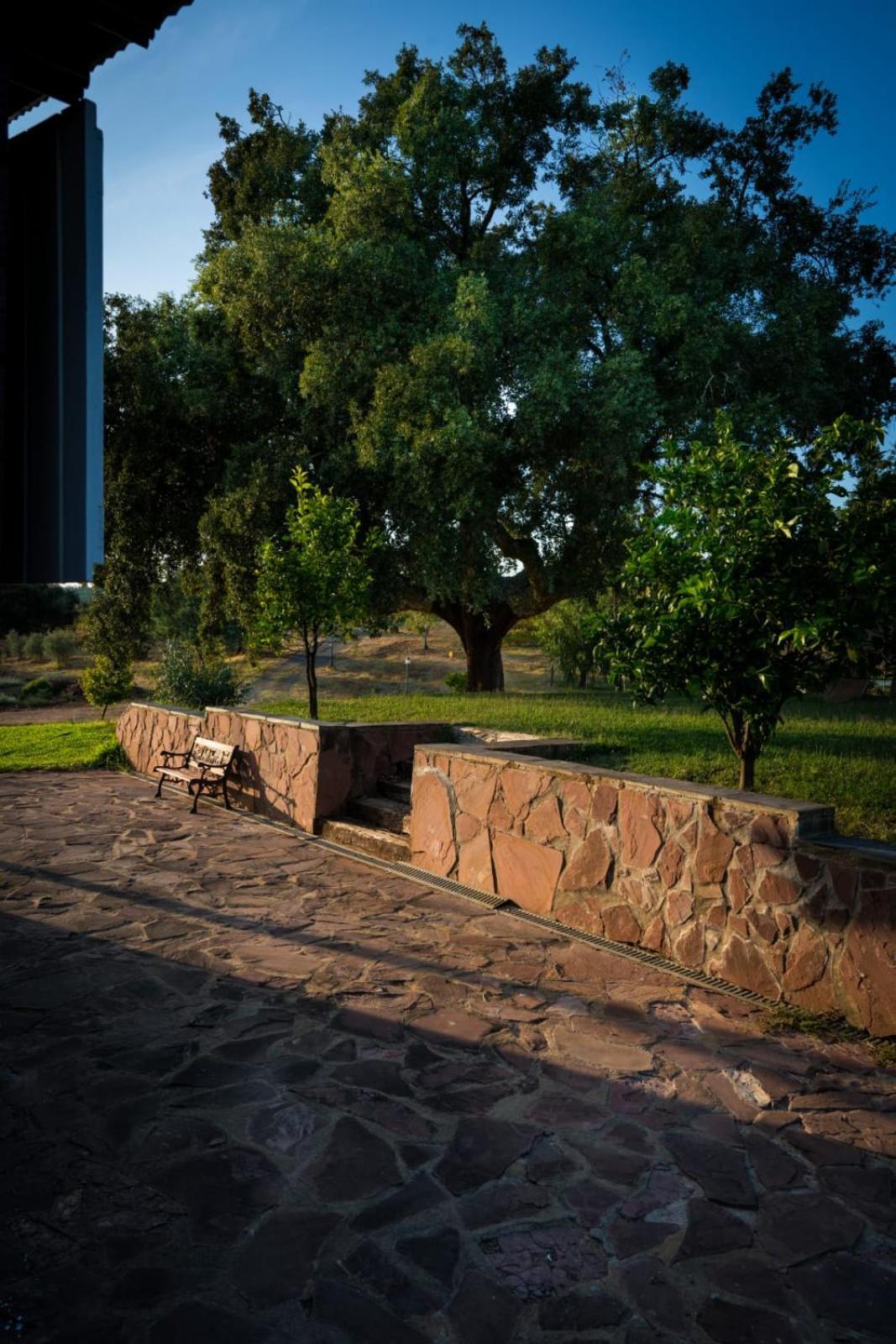 Casa Rural Camino Del Alentejo Villa La Codosera Cameră foto